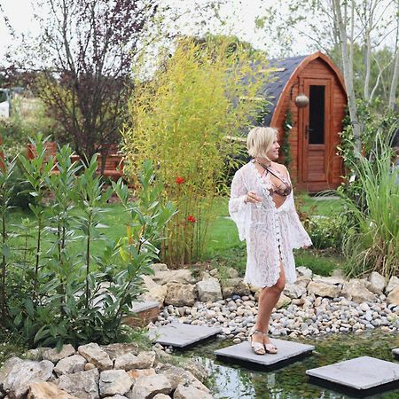 אשפורד Dragonfly Glamping Spa Retreat מראה חיצוני תמונה