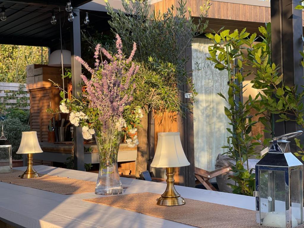 אשפורד Dragonfly Glamping Spa Retreat מראה חיצוני תמונה