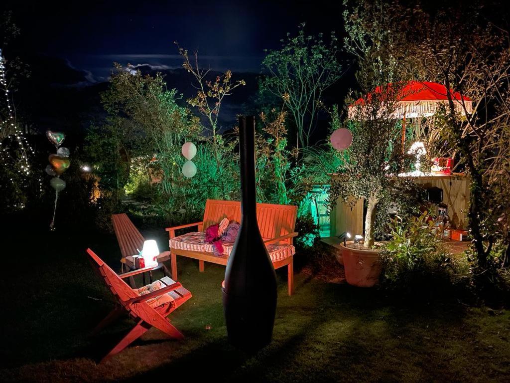 אשפורד Dragonfly Glamping Spa Retreat מראה חיצוני תמונה