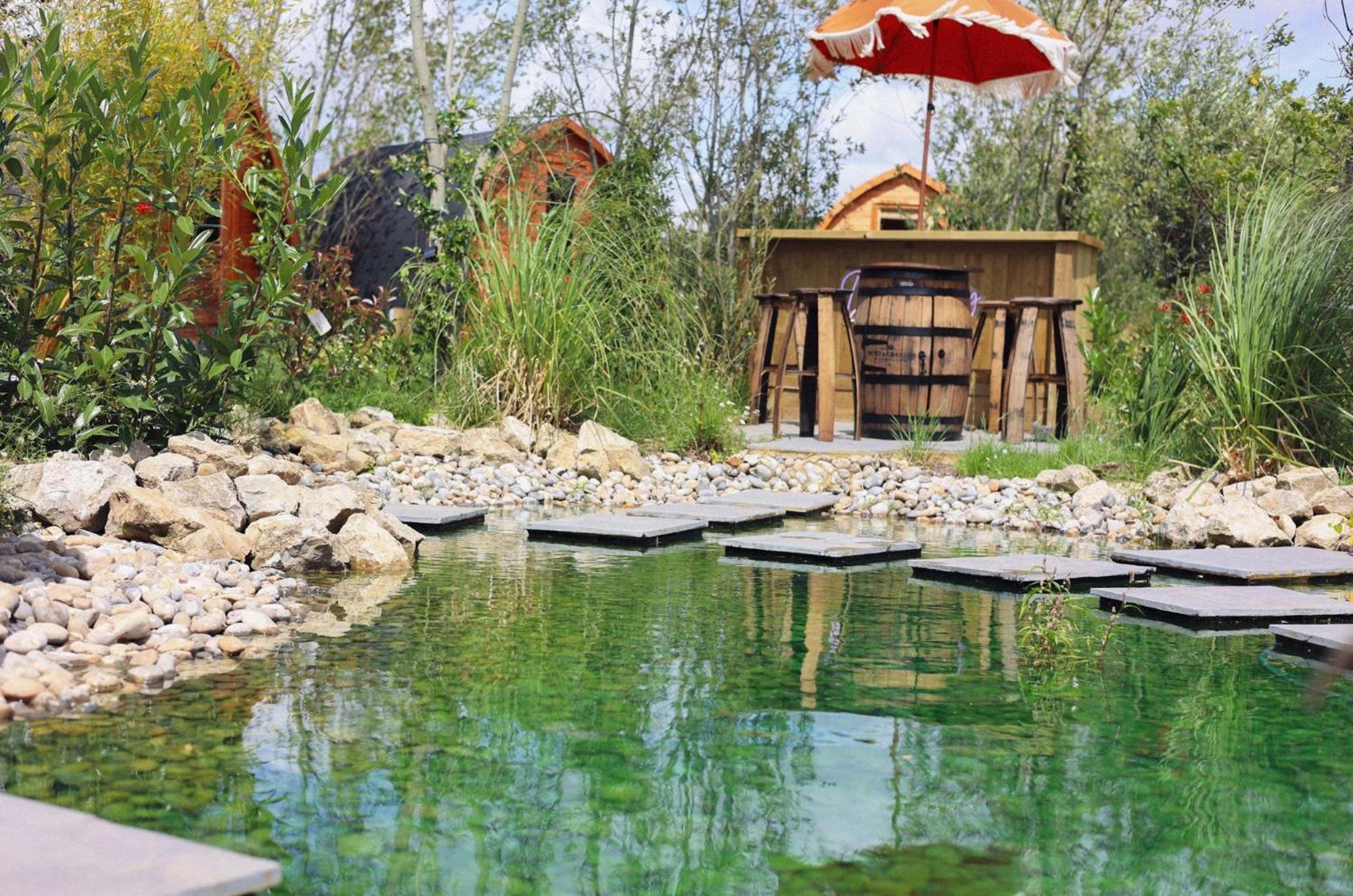 אשפורד Dragonfly Glamping Spa Retreat מראה חיצוני תמונה